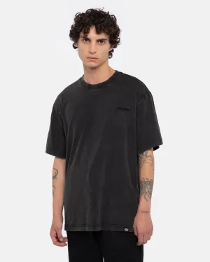 Dickies Plentywood Tee - Double Dye / Acid Wash Black